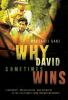 Why_David_sometimes_wins
