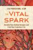 The_vital_spark