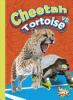 Cheetah_vs__tortoise