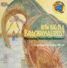 How_big_is_a_brachiosaurus_