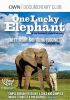 One_lucky_elephant