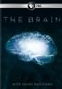 The_brain
