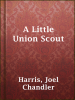 A_Little_Union_Scout