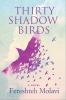 Thirty_Shadow_Birds
