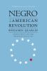 The_Negro_in_the_American_Revolution